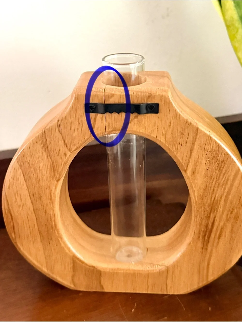 Test Tube Propagation Wood Carved Circle Vase Wall Hanging Shelf Sitting Boho